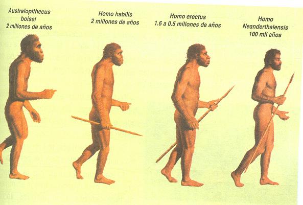 todas homo todas homo